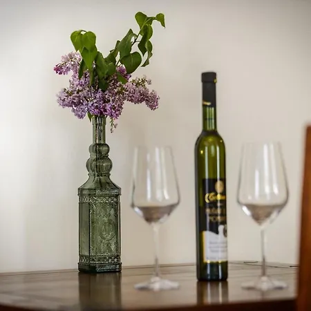 Franka Old Town - One Bedroom Apartment